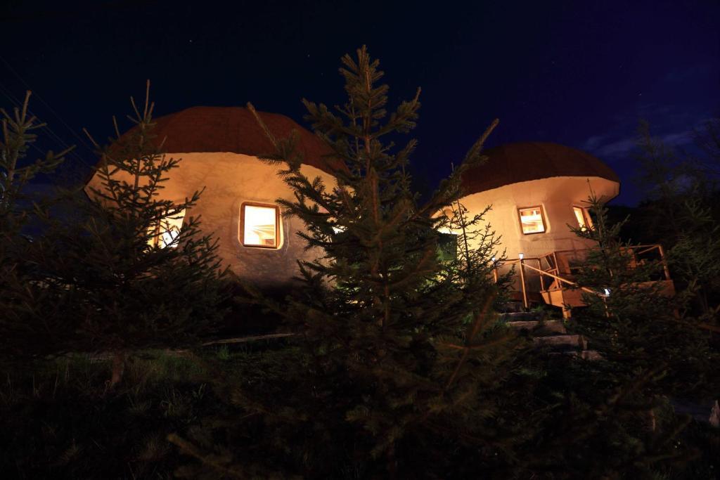 Art Apartments Minic Kolašin Rom bilde